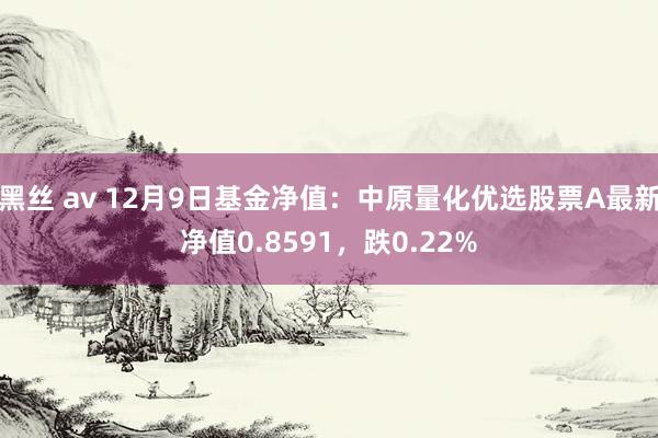 黑丝 av 12月9日基金净值：中原量化优选股票A最新净值0.8591，跌0.22%