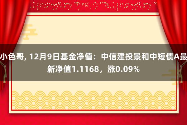 小色哥， 12月9日基金净值：中信建投景和中短债A最新净值1.1168，涨0.09%