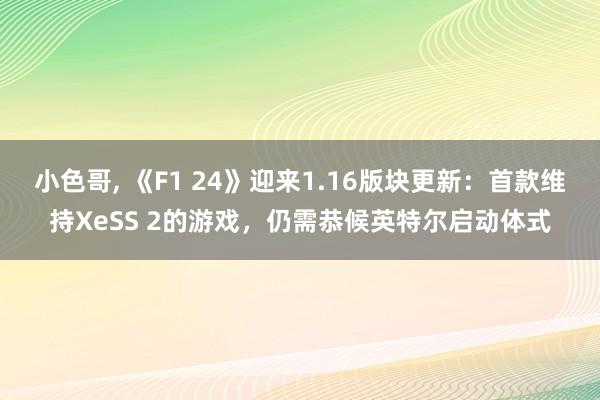 小色哥， 《F1 24》迎来1.16版块更新：首款维持XeSS 2的游戏，仍需恭候英特尔启动体式