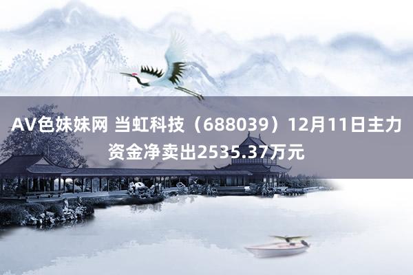 AV色妹妹网 当虹科技（688039）12月11日主力资金净卖出2535.37万元