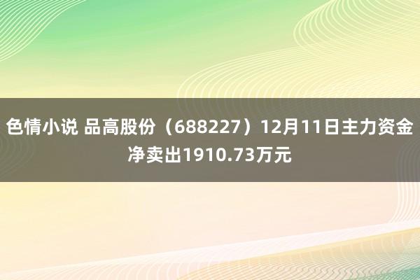 色情小说 品高股份（688227）12月11日主力资金净卖出1910.73万元