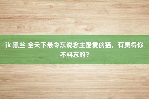 jk 黑丝 全天下最令东说念主酷爱的猫，有莫得你不料志的？