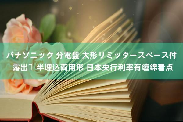 パナソニック 分電盤 大形リミッタースペース付 露出・半埋込両用形 日本央行利率有缠绵看点