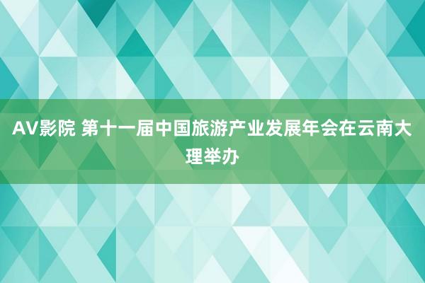 AV影院 第十一届中国旅游产业发展年会在云南大理举办