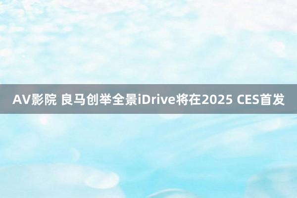 AV影院 良马创举全景iDrive将在2025 CES首发