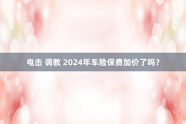 电击 调教 2024年车险保费加价了吗？