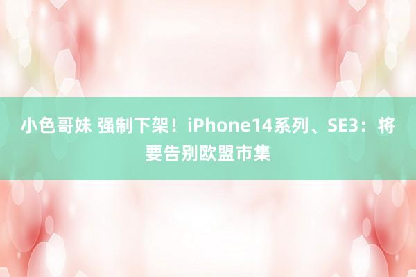 小色哥妹 强制下架！iPhone14系列、SE3：将要告别欧盟市集