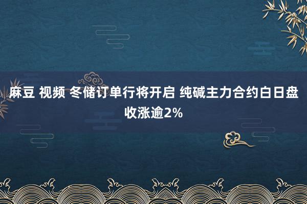 麻豆 视频 冬储订单行将开启 纯碱主力合约白日盘收涨逾2%