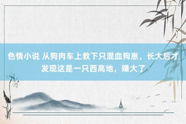 色情小说 从狗肉车上救下只混血狗崽，长大后才发现这是一只西高地，赚大了