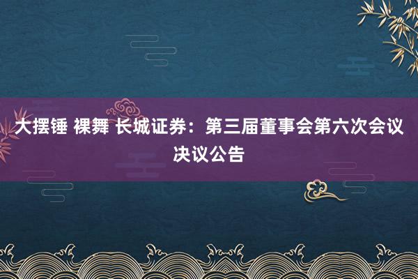 大摆锤 裸舞 长城证券：第三届董事会第六次会议决议公告