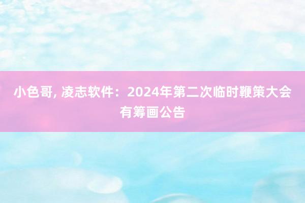 小色哥， 凌志软件：2024年第二次临时鞭策大会有筹画公告