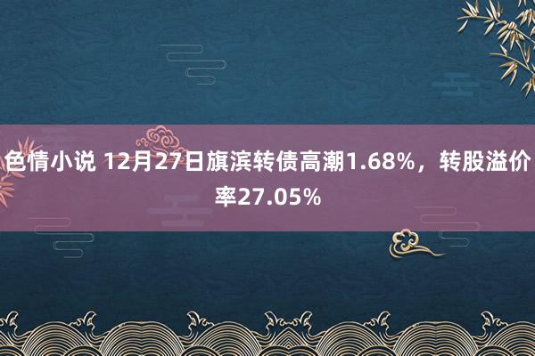 色情小说 12月27日旗滨转债高潮1.68%，转股溢价率27.05%