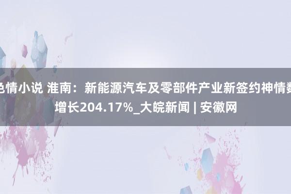 色情小说 淮南：新能源汽车及零部件产业新签约神情数增长204.17%_大皖新闻 | 安徽网