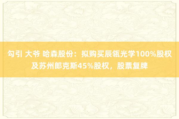 勾引 大爷 哈森股份：拟购买辰瓴光学100%股权及苏州郎克斯45%股权，股票复牌