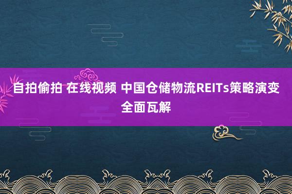 自拍偷拍 在线视频 中国仓储物流REITs策略演变全面瓦解