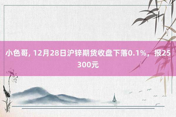 小色哥， 12月28日沪锌期货收盘下落0.1%，报25300元