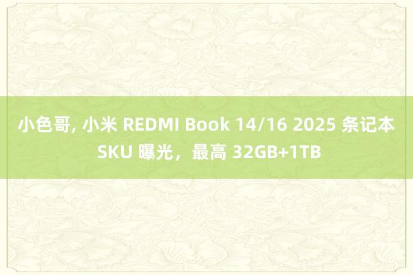 小色哥， 小米 REDMI Book 14/16 2025 条记本 SKU 曝光，最高 32GB+1TB