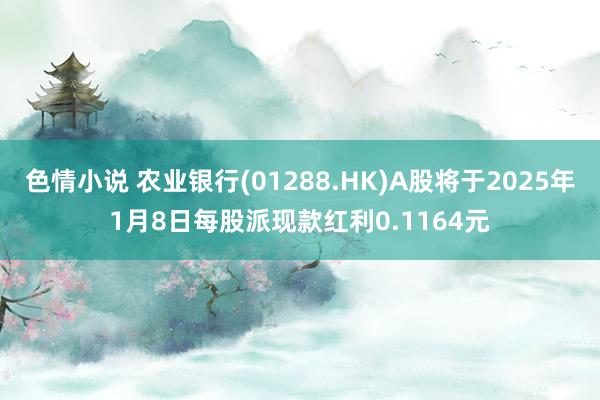 色情小说 农业银行(01288.HK)A股将于2025年1月8日每股派现款红利0.1164元