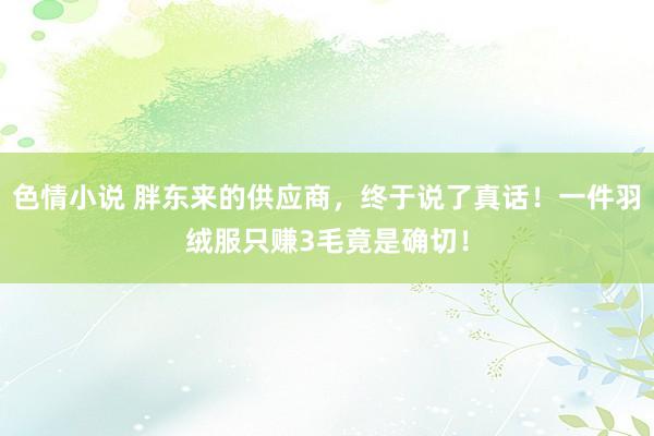 色情小说 胖东来的供应商，终于说了真话！一件羽绒服只赚3毛竟是确切！