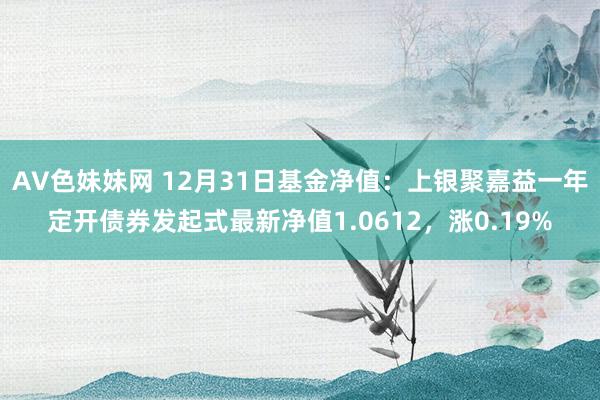 AV色妹妹网 12月31日基金净值：上银聚嘉益一年定开债券发起式最新净值1.0612，涨0.19%