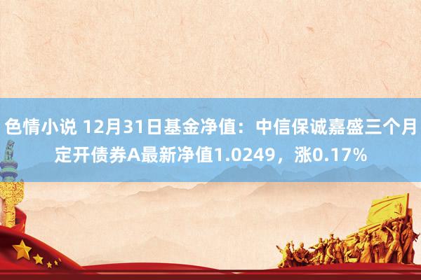 色情小说 12月31日基金净值：中信保诚嘉盛三个月定开债券A最新净值1.0249，涨0.17%