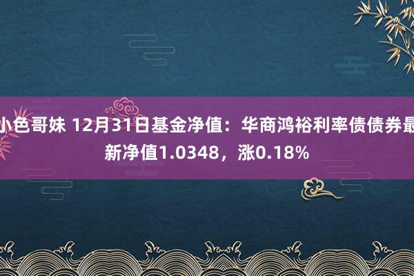 小色哥妹 12月31日基金净值：华商鸿裕利率债债券最新净值1.0348，涨0.18%