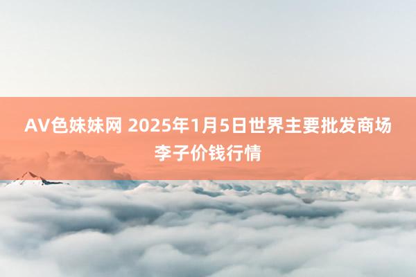 AV色妹妹网 2025年1月5日世界主要批发商场李子价钱行情