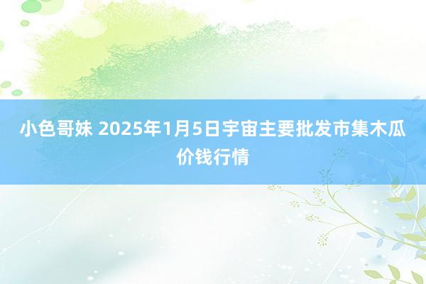 小色哥妹 2025年1月5日宇宙主要批发市集木瓜价钱行情