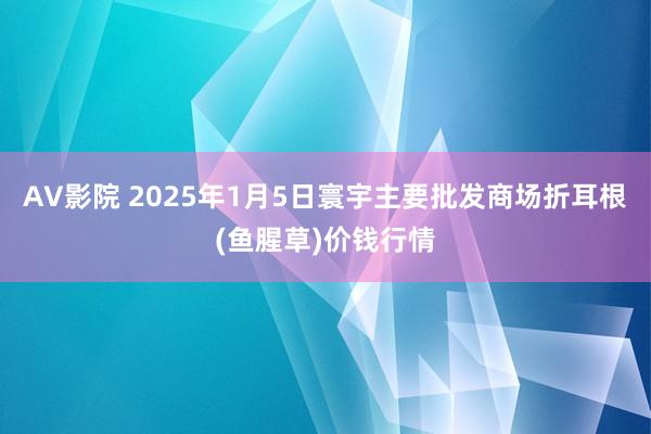 AV影院 2025年1月5日寰宇主要批发商场折耳根(鱼腥草)价钱行情