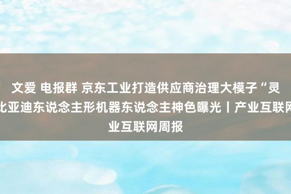 文爱 电报群 京东工业打造供应商治理大模子“灵镜” 比亚迪东说念主形机器东说念主神色曝光丨产业互联网周报