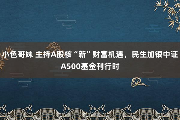 小色哥妹 主持A股核“新”财富机遇，民生加银中证A500基金刊行时