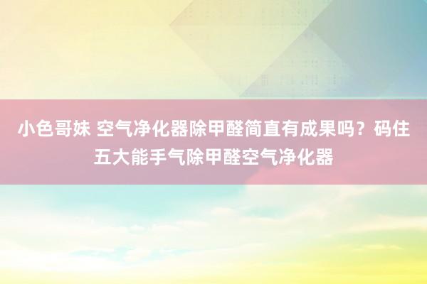 小色哥妹 空气净化器除甲醛简直有成果吗？码住五大能手气除甲醛空气净化器