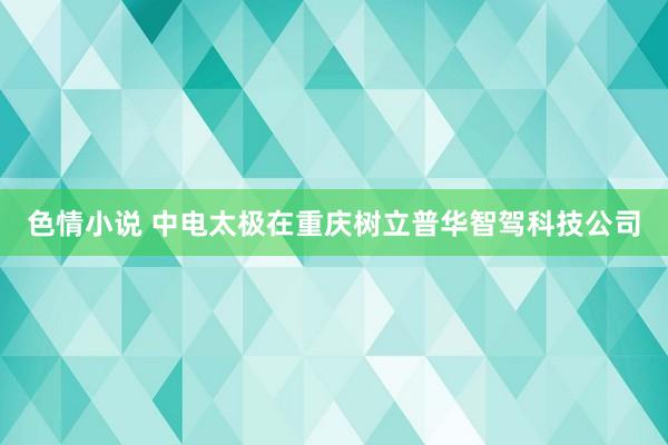 色情小说 中电太极在重庆树立普华智驾科技公司