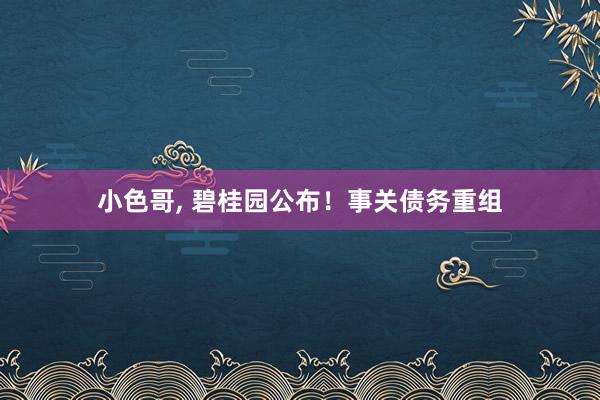 小色哥， 碧桂园公布！事关债务重组