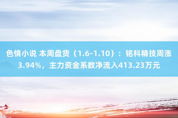 色情小说 本周盘货（1.6-1.10）：铭科精技周涨3.94%，主力资金系数净流入413.23万元