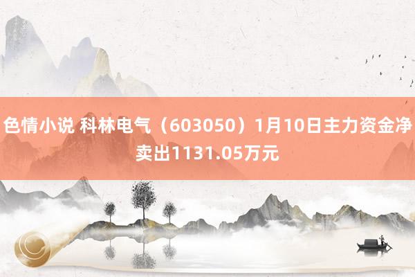 色情小说 科林电气（603050）1月10日主力资金净卖出1131.05万元