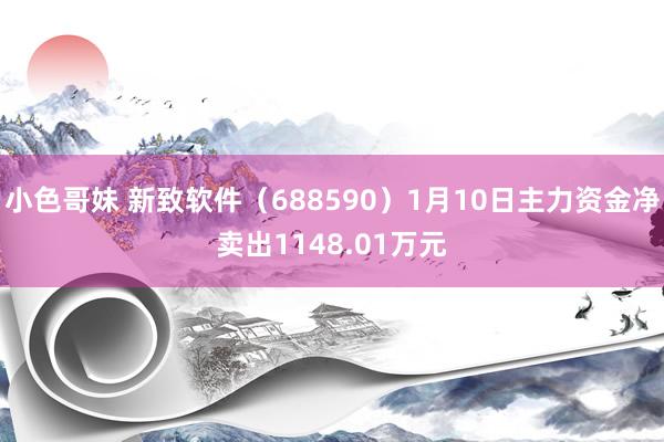 小色哥妹 新致软件（688590）1月10日主力资金净卖出1148.01万元