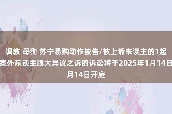 调教 母狗 苏宁易购动作被告/被上诉东谈主的1起触及案外东谈主膨大异议之诉的诉讼将于2025年1月14日开庭