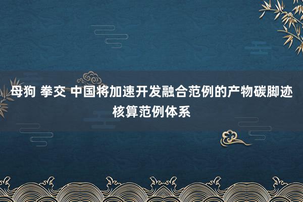 母狗 拳交 中国将加速开发融合范例的产物碳脚迹核算范例体系