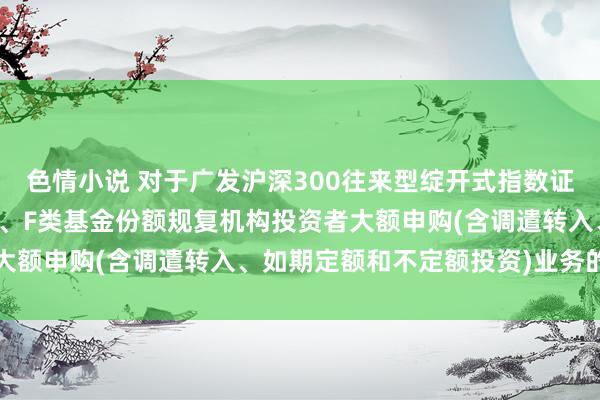 色情小说 对于广发沪深300往来型绽开式指数证券投资基金勾搭基金C类、F类基金份额规复机构投资者大额申购(含调遣转入、如期定额和不定额投资)业务的公告