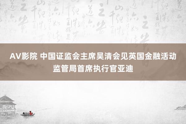 AV影院 中国证监会主席吴清会见英国金融活动监管局首席执行官亚迪