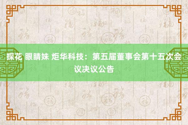 探花 眼睛妹 炬华科技：第五届董事会第十五次会议决议公告