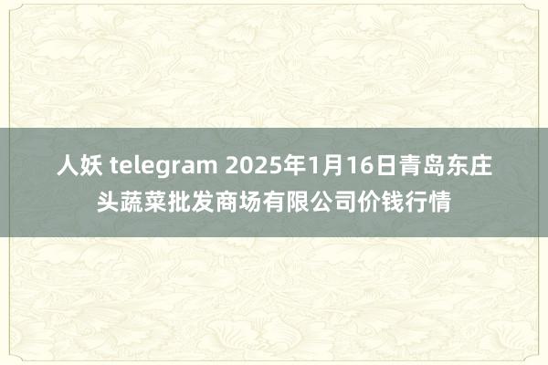 人妖 telegram 2025年1月16日青岛东庄头蔬菜批发商场有限公司价钱行情