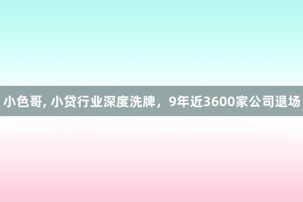 小色哥， 小贷行业深度洗牌，9年近3600家公司退场