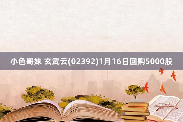 小色哥妹 玄武云(02392)1月16日回购5000股