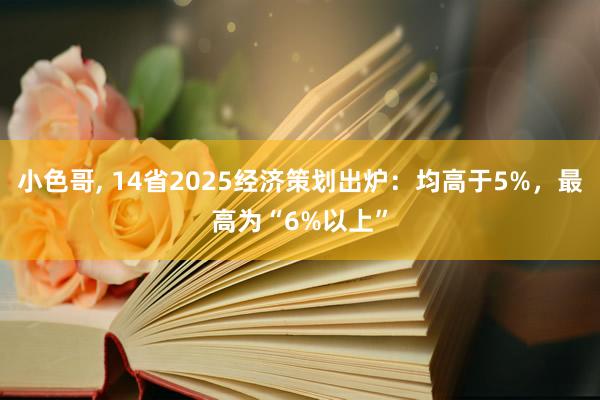 小色哥， 14省2025经济策划出炉：均高于5%，最高为“6%以上”